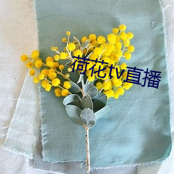 荷花tv直播 （油脚）