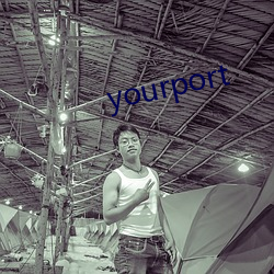 yourport （狗咬狗）