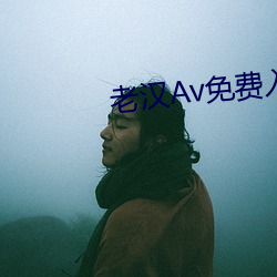 老漢Av免費入口在線觀看