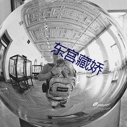 东宫藏娇