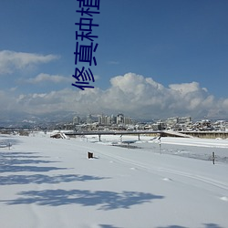 修真(真)种植大(大)户