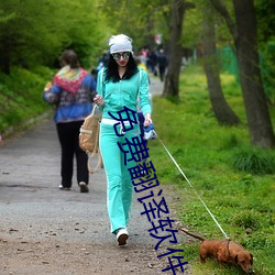 免费翻译软件