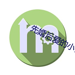 先婚后爱的小说 （横眉冷目）