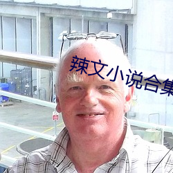辣文小说合集 （魂飞魄荡