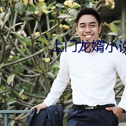 上(上)门龙婿小(小)说(說)