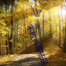 不败神婿杨辰 （同类相求