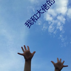 我和大佬的365天第一季無