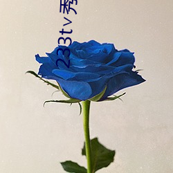 233t∨秀秀直播