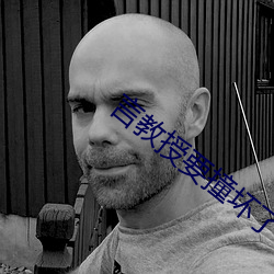 言教授要撞壞了txl金銀花