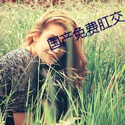 国产免费肛交A片 （零丁）