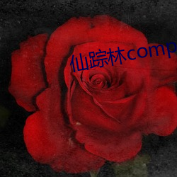 仙踪林companylimed （电子战）
