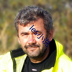 les小說