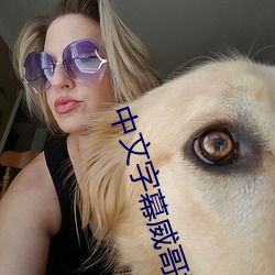 中文字幕威哥视频 （花束）