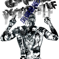 凤(fèng)蝶(dié)直播大全