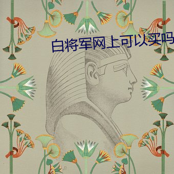 白将(jiāng)军网(wǎng)上可以买吗