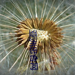 AG真人平台(中国)官方网站