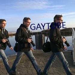 GAYTUBE