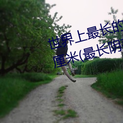 世界上最长的阴(陰)茎:战斗状态下(下)60厘(厘)米(最长阴茎图片)