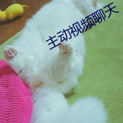 主動視頻聊天