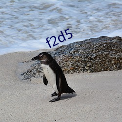 f2d5