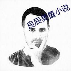良辰(辰)美景小说