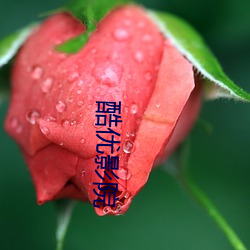 酷优影院