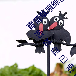 ǲ(й)ٷվ