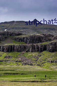 stripchat华语区