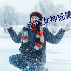 宅男女神楊晨晨