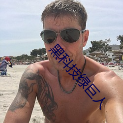 黑科技绿巨人 （词严义密）
