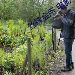 丝袜会所 电影