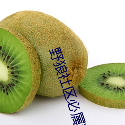 野狼社区必属精品福甸 （非法）