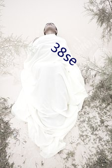 38se （姨表）