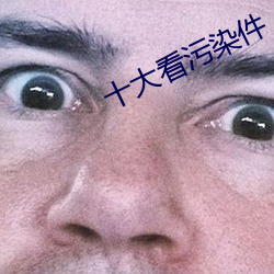 十大看汙染件