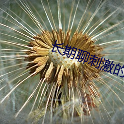 长期聊刺(刺)激的软件