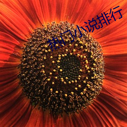 熱門小說排行