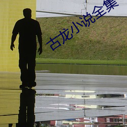 古龙小(xiǎo)说全集