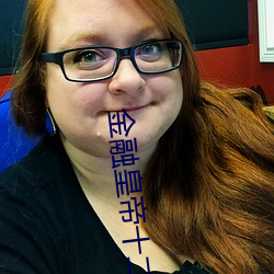 金(jīn)融皇帝十(shí)二妃(fēi)
