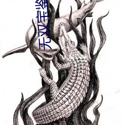 无双宝(bǎo)鉴