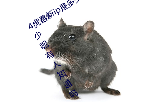 4虎(hǔ)最(zuì)新ip是(shì)多少2022(4虎最新ip是多(duō)少呢(ne)有人(rén)知道(dào)吗)