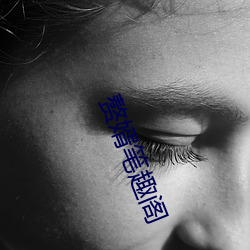 赘(贅)婿(婿)笔趣阁