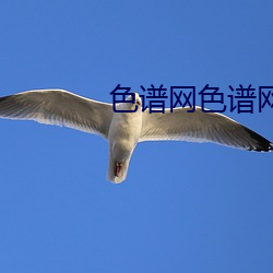 色(sè)谱(pǔ)网色谱网络