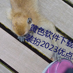 黃色軟件下載3.0.3免費oppo版大全裝扮2023優點:一款觀影流