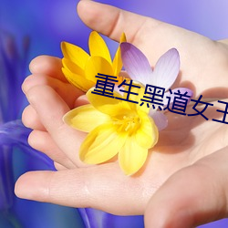 重生黑道女王