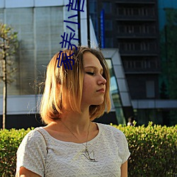 家养小首辅