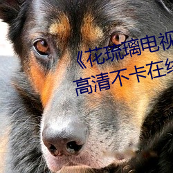 《花琉璃電視劇免費觀看完整版》高清不卡在線觀看