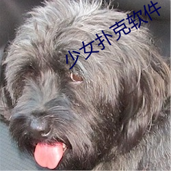 少女撲克軟件