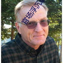 官场浮沉录