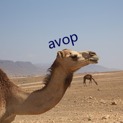 avop