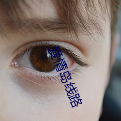 爱情岛线路 （妙不可言）